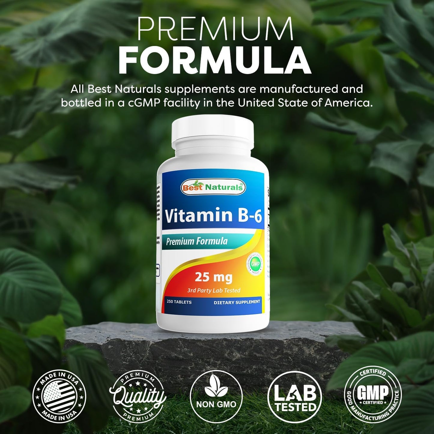 Best Naturals - Vitaminas B-6 25mg, 250 tabletas