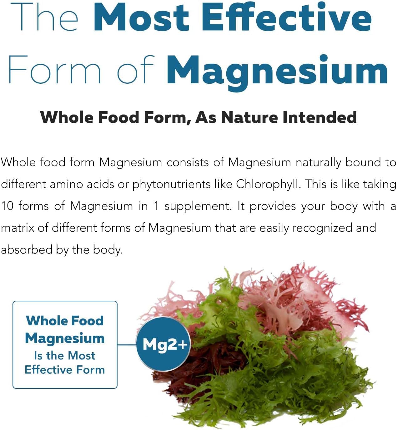 Triquetra - Plant Magnesium 250mg, 60 capsulas