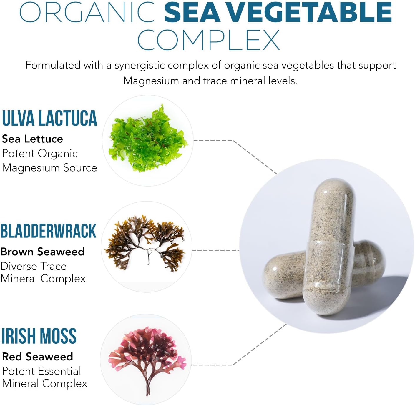 Triquetra - Plant Magnesium 250mg, 60 capsulas