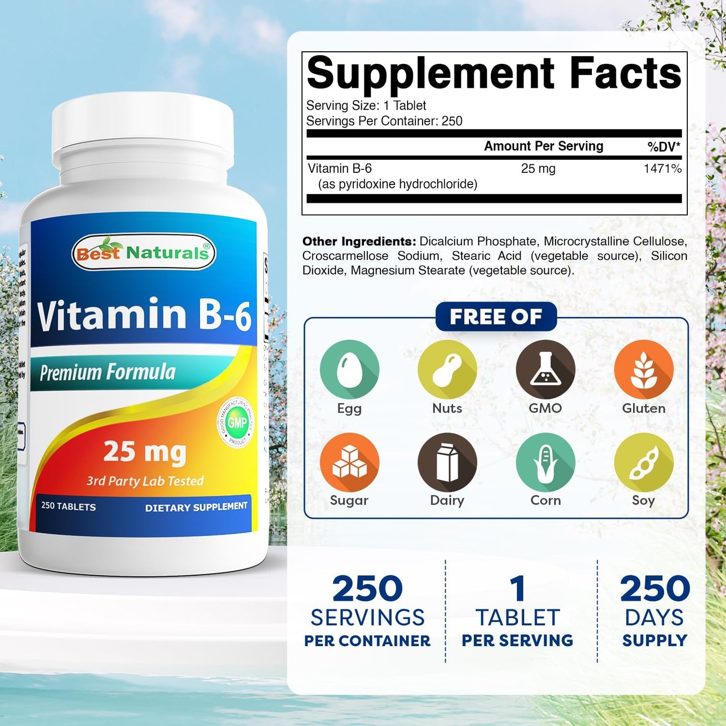 Best Naturals - Vitaminas B-6 25mg, 250 tabletas