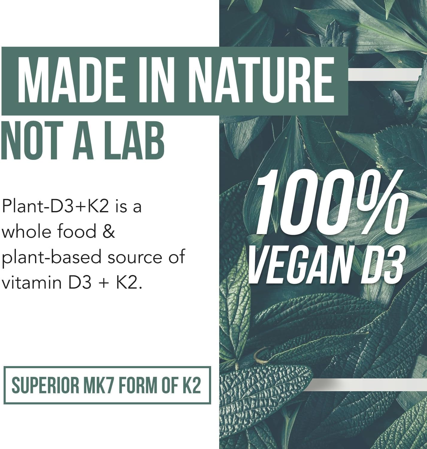 Triquetra - Plant-D3(5000IU) + K2(120mcg), 60 capsulas