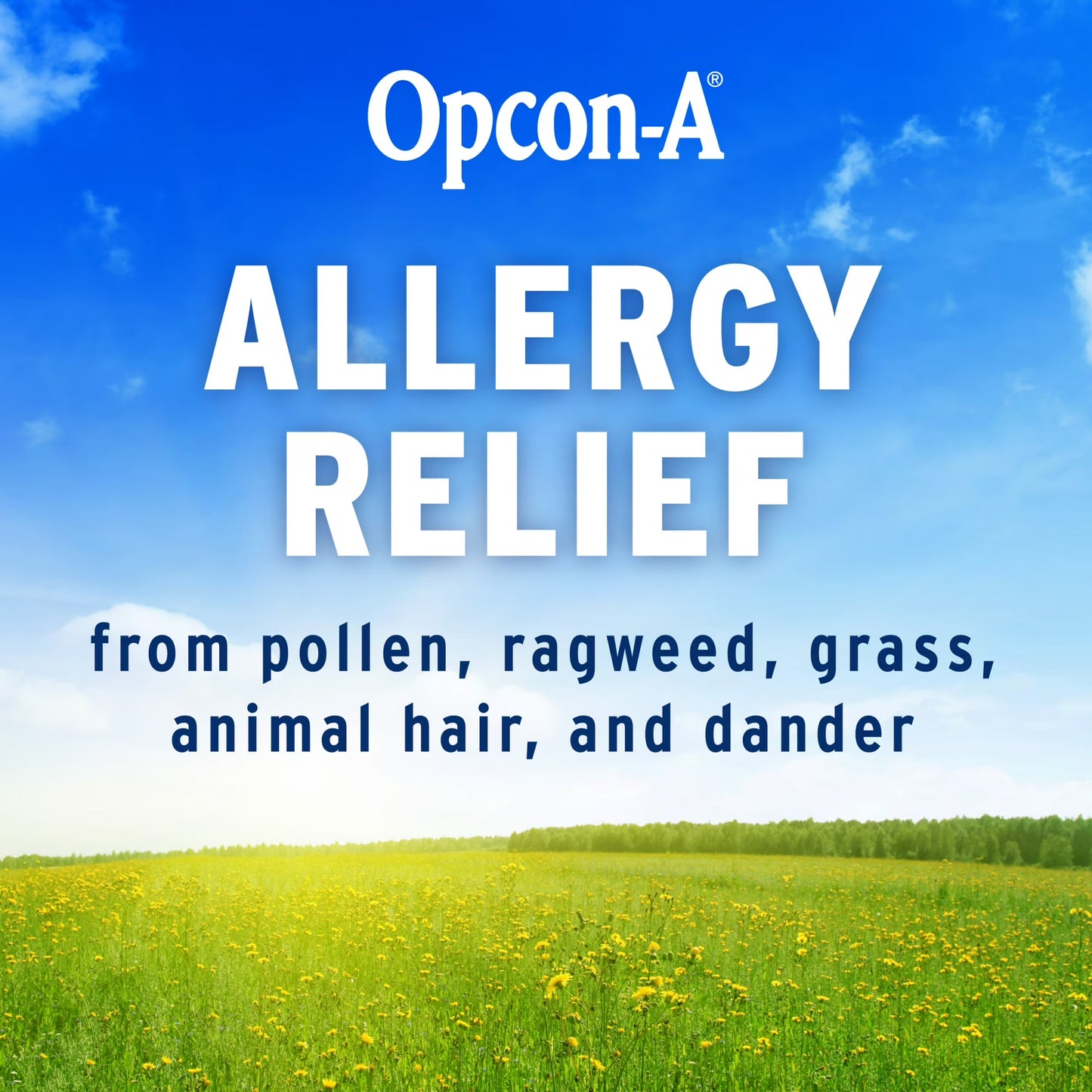 Opcon-A Gotas para Aliviar Alergias Oculares para Alivio de Ojos Rojos con Picazón con Antihistamínico y Alivio Del Enrojecimiento, 15ml, Paquete de 2